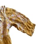 Free People Lucie Mini Dress Golden Coin Combo Floral Print Lace Size 8 Women's Photo 8