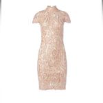 Tadashi Shoji  - High Neck Lace Knee Length Dress  Size 8 Photo 1
