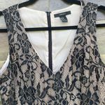 Black Lace Skater Style Dress Size M Photo 1