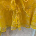 Abercrombie & Fitch  Yellow Floral Sheer Tie Front Blouse – Size S Photo 2