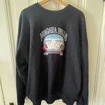 Brandy Melville Niagara Falls Sweatshirt Photo 0