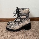Madden Girl  Cream Black Snakeskin Combat Boots Size 8.5 Lace Up Zip Chunky Heel Photo 3
