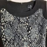 Ronni Nicole  Women Size 10 Sleeveless Dress Black Photo 1