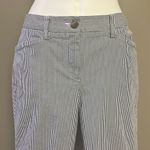 Lands' End Land’s End Blue and White Vertical Striped Fit 2 Cropped Cotton Blend Pants- Siz Photo 2