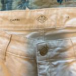 st. john's bay  Men's Cream Straight Jeans Photo 1