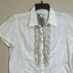 Johnny Was  3J Workshop Button Down Shorts Sleeves Shirt Size Large Photo 2