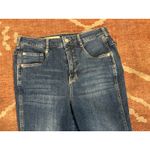 Anthropologie Pilcro & The Letterpress High Wasted Denim Jeans Ankle 28 Photo 3