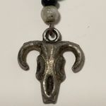 Pair of Steer Skull Fishhook Earrings Photo 1