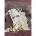 Casa Clara Quinn Earrings in Seaside One Size New Womens Seashells Dangle Drop Gold Photo 5