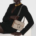 Gucci GG Supreme Dionysus Small Shoulder Bag Photo 2