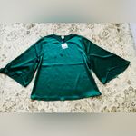 Anne Klein ELEGANT🌹DRESSY blouse🌹🌹 Photo 4