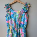 Lilly Pulitzer  XS Dress Floral Ruffle Sleeve Pastel‎ Spring Summer Photo 1