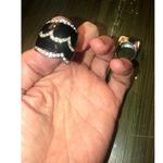 White House | Black Market  Costume Jewelry Rings - Black Silver Green Silver - 2 Photo 4