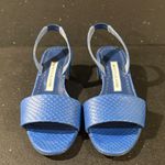 Manolo Blahnik Snakeskin Blue Sandals 36 1/2 EUC Photo 1