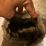 Candie's Tan Fur Photo 3