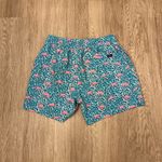Chubbies  swim trunks  Photo 1