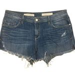 Pilcro and the Letterpress Anthropology  Distressed Jean Shorts Photo 0