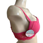 Massam Size Small Fuchsia Lace Trim Padded Underwire Bra Made in Brazil New Pink Photo 2