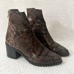 Treasure & Bond Nordstrom Farrah Brown Faux Snake Western Stud Ankle Boots 6.5 Photo 0