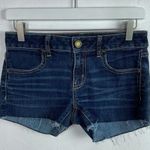 American Eagle  Outfitters Custom Cutoff Shorts 4 Photo 0