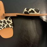 Yellow Box  Flats Cheetah Photo 1