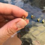 Vintage Christmas Earrings Avon Small Gold Wreaths, Gift Bows, Christmas Trees Photo 5