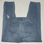 International Concepts, Boyfriend High Rise Leopard Print Accents, Women Size 4P Blue Photo 6