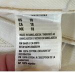 American Eagle NWOT  Women’s Plus Size 90’s Boyfriend Denim Shorts White size 18 Photo 9