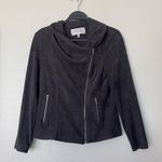 Cupcakes and Cashmere  Finleigh Faux Suede Leather Moto Gray Jacket Size Small Photo 1