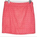 J.Crew  Pink Eyelet  A-line Silhouette Pencil Skirt Size 2 Photo 0