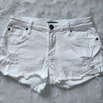 sts blue  NWT Women’s White Cutoff Shorts with Distressing SZ 25 Photo 0