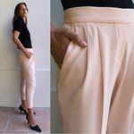 Aritzia • Babaton Cohen Pant cropped pleated dress ankle pull-on blush pink Photo 7