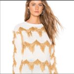Tularosa Sweater with Chevron Detailing Photo 1