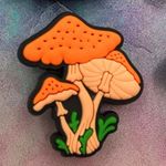 Boutique Shoe Charm Set Namaste Motivational Quotes Mushrooms Photo 4