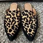 Halogen  Western Corbin Leopard‎ Mules Shoes Size 8.5 Photo 4