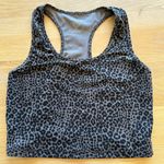 Evolution and creation  Tank Workout Cheetah Photo 0