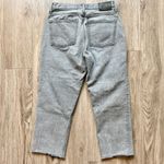 Everlane  Organic Cotton The 90’s Cheeky Crop Jean Acid Gray Size 28 Photo 6