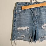 American Eagle  Denim Baggy Mom Short Light Wash Distressed 2 Photo 3