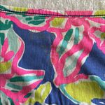 Lilly Pulitzer  BLYTHE TANK DRESS MINI CASA AZUL FLORAL PRINT WOMENS SIZE LARGE Photo 11
