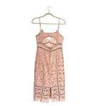 Bardot Botanica Lace Dress Womens Size 6 Pink Sleeveless Sheath Dress Wedding Photo 4
