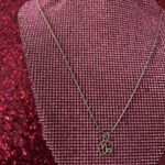 Boutique Capricorn Necklace Zodiac Sign Horoscope December January Birthday Month Gift Photo 4