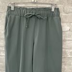 Joie  Green Pull on Pants with Elastic Waistband Photo 1
