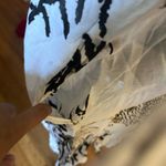 White Shirt Dress Fish Club Z Collection Button Photo 3