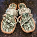 Louise et Cie  Women's Snakeskin Strappy Sandals Size 8 Photo 0