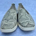 Franco Sarto Boston Vegan Snakeskin Slip On Square Toe Sneaker Womens Size 6.5 Photo 1