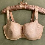 NWOT Empreinte “Melody” Molded Demi Cup Underwire Lace Bra, 42F (3D) Style #3886 Tan Size undefined Photo 2