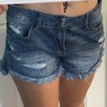 True Craft Jean Shorts Photo 0