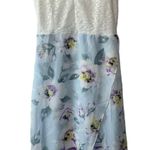SheIn Blue Floral Contrast Lace Floral Print Tulip Hem Cami Dress Sz Medium NEW Photo 9