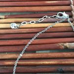 Brighton  Lucky Horse Pendant Necklace Photo 5