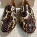 Madewell  The Frances Loafer in Snake Embossed Leather Photo 6